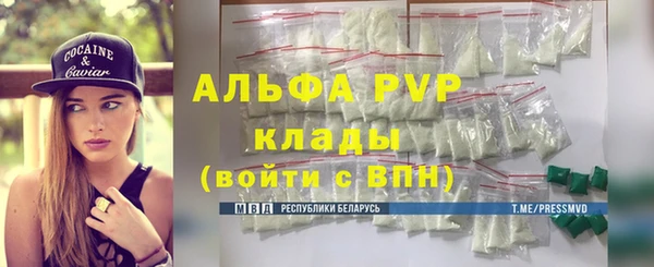 дживик Абаза