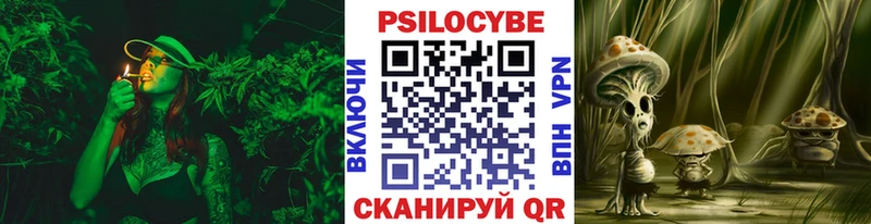 Псилоцибиновые грибы мицелий как найти наркотики Анапа